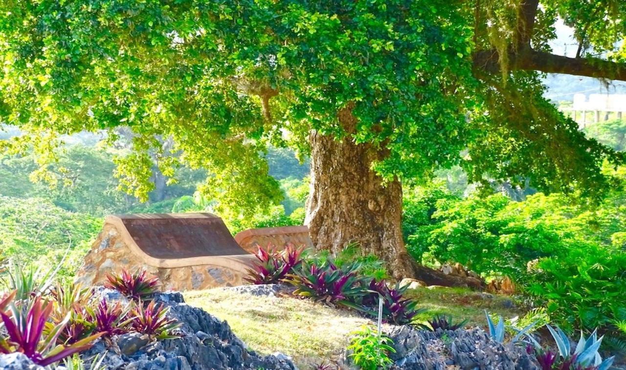 Las Galeras Village Ecolodge المظهر الخارجي الصورة